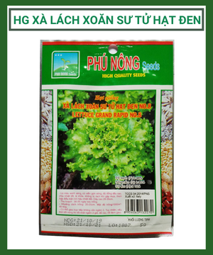 Hạt giống xà lách xoăn sư tử hạt đen Phú Nông NO.8