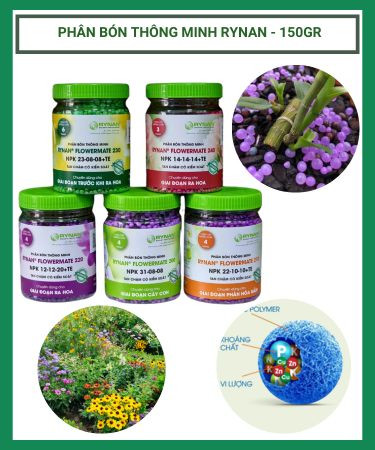 Phân bón thông minh Rynan – phân nở tan chậm