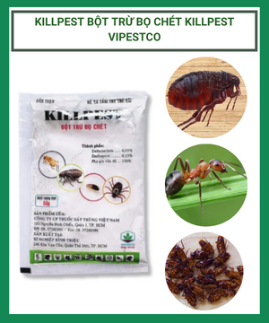 KILLPEST bột trừ bọ chét kill pest VIPESCO