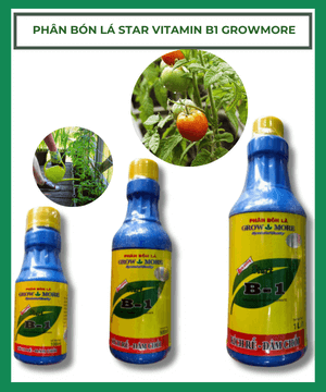 Phân bón lá Star Vitamin B1 Grow More