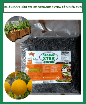 Phân bón hữu cơ Úc Organic Xtra Tảo Biển