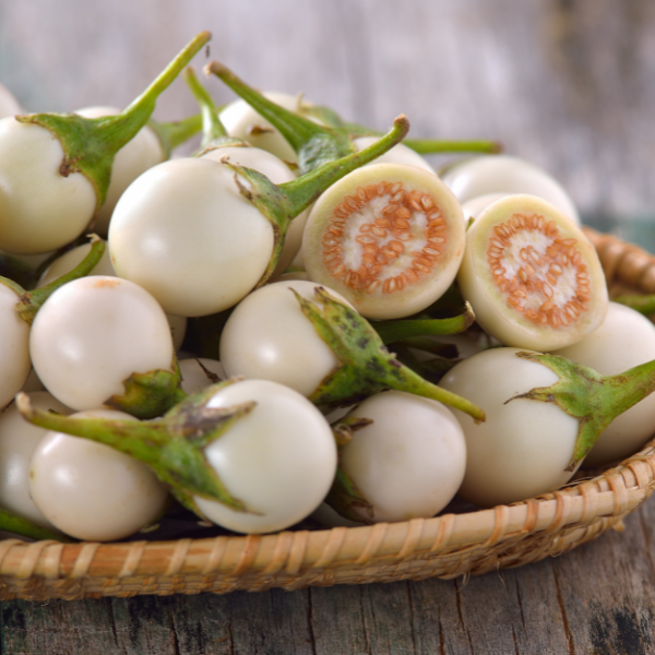 Hạt giống cà pháo trắng F1 cao sản 123 2