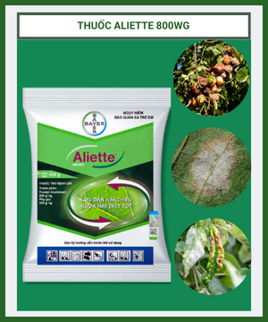 Thuốc Aliette 800WG – thuốc trừ bệnh cây