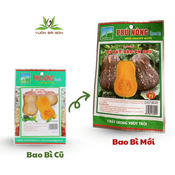 Hạt giống bí hạt đậu F1 PN-389 2