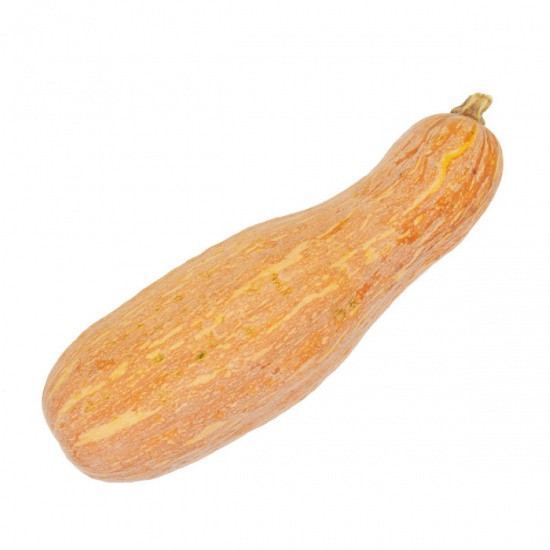 Hạt giống Bí Đỏ Dài PN-159 2