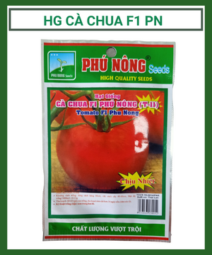 Hạt giống cà chua F1 PHÚ NÔNG T-11