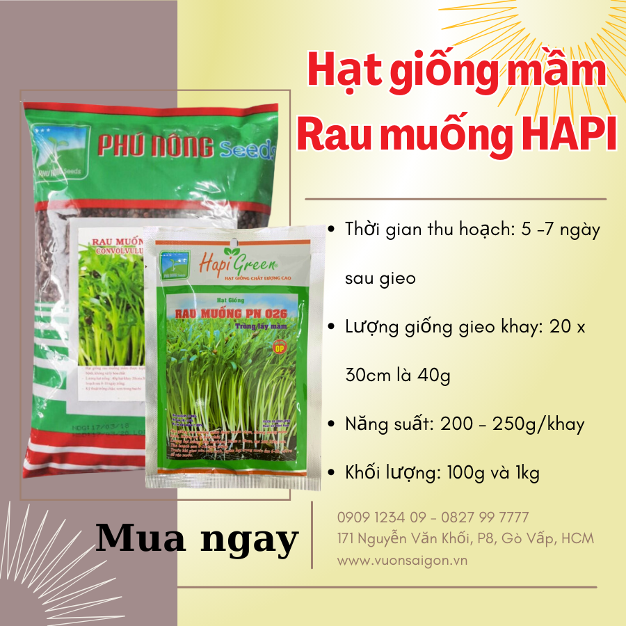 Hạt giống mầm rau muống Phú Nông 3