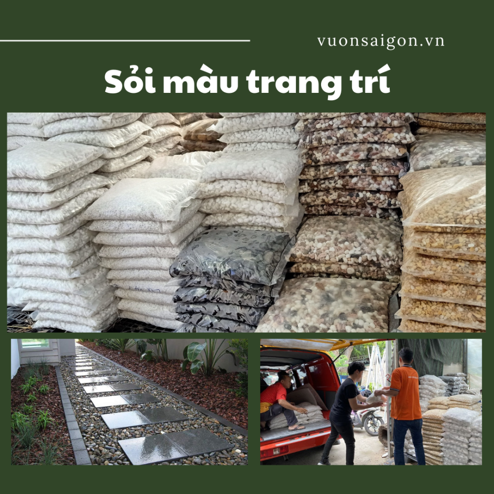 Sỏi Màu Trang Trí Tiểu Cảnh, Chậu Cây – Đá Cuội Màu Sắc 2