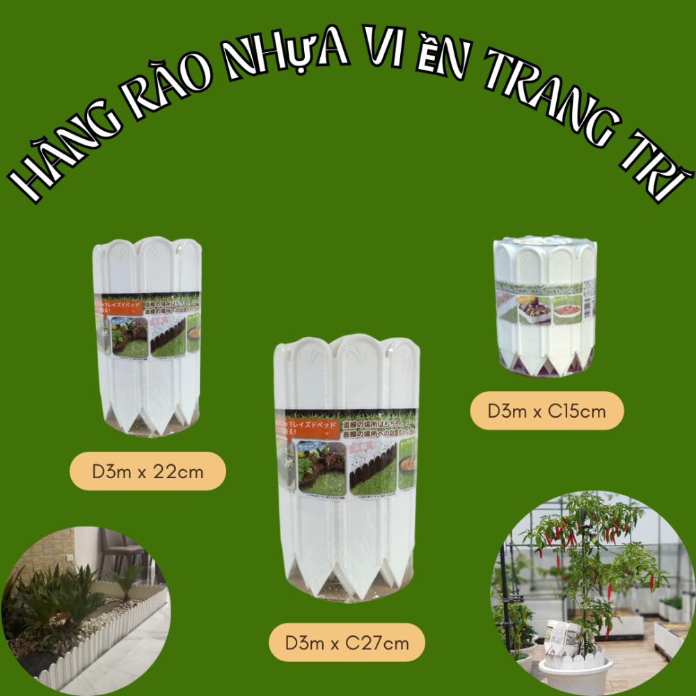 Hàng rào viền trắng Daim Nhật Bản-Hàng rào nhựa trang trí 2