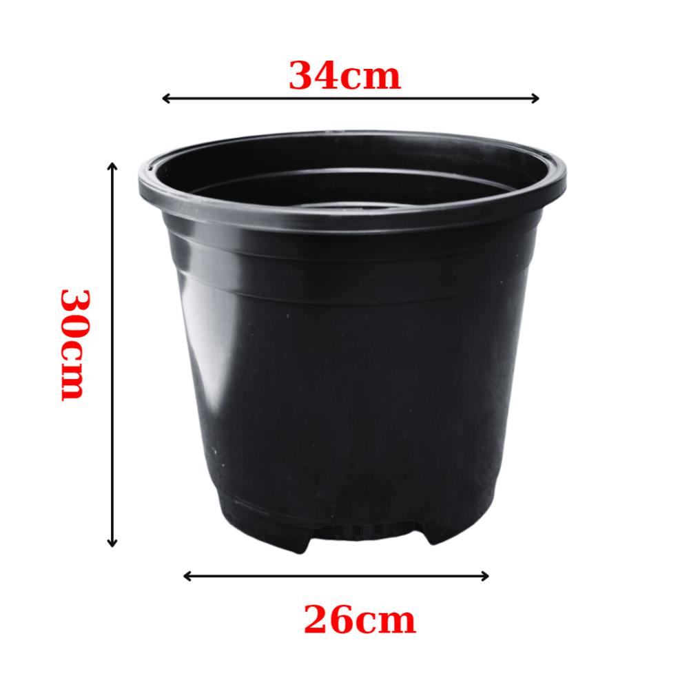 Chậu nhựa cứng tròn đen, trồng kiểng lá 2