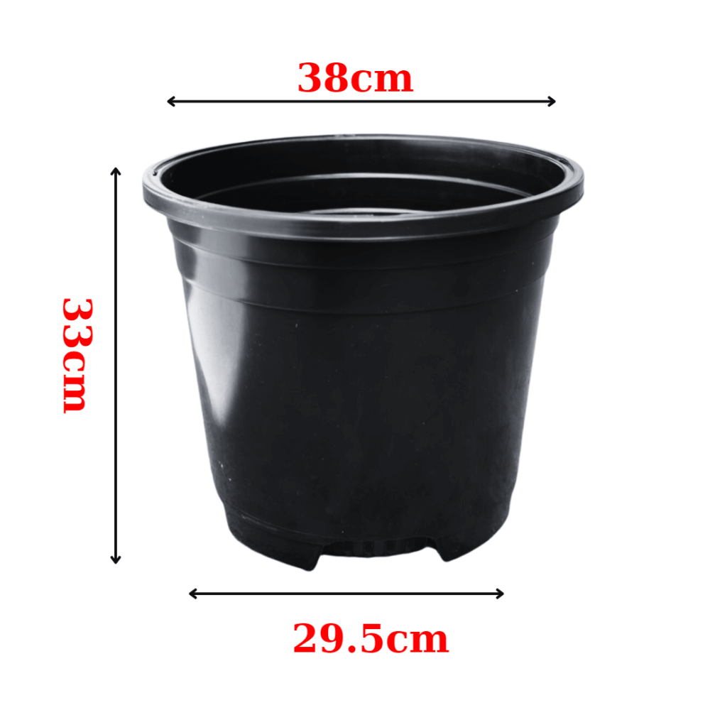 Chậu nhựa cứng tròn đen, trồng kiểng lá 3