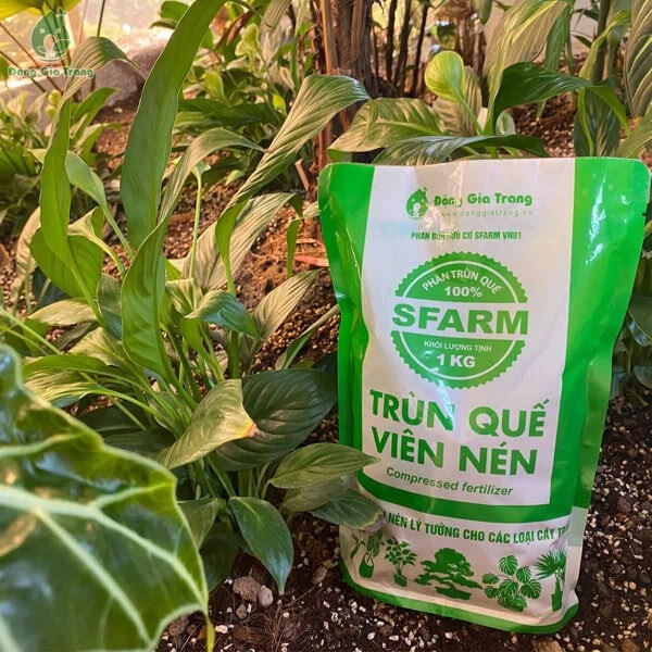 Phân Trùn Quế Viên Nén SFARM cho các loại cây trồng 3