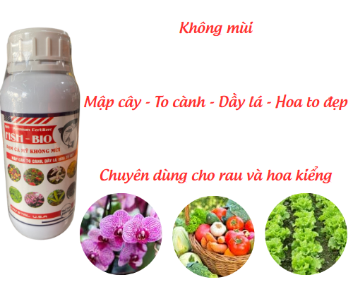 Đạm cá Mỹ Bio Fish không mùi-Chuyên cho rau,hoa kiểng 2