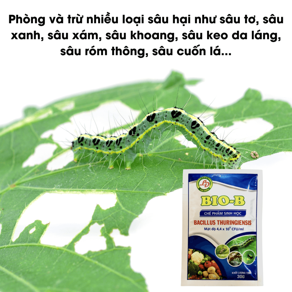 Chế phẩm sinh học Bio-B phòng trừ Bọ Trĩ, Nhện Đỏ, Sâu Rầy 3