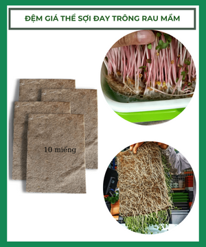 Đệm Giá Thể Sợi Đay Trồng Rau Sạch – Rau Mầm