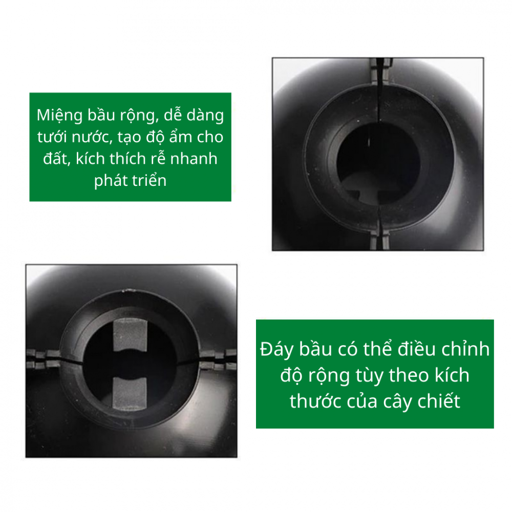 Bầu Chiết Cành Chuyên Dụng 3