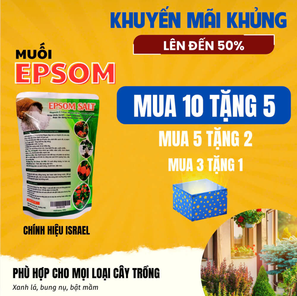 Muối EPSOM SALT (MgSO4.7H2O) – lá xanh, cây khỏe, hoa trái xum xuê 2