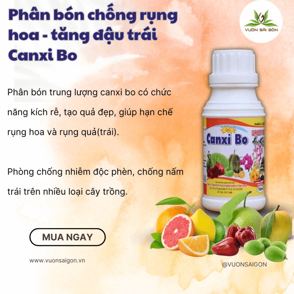 Phân bón chống rụng hoa – tăng đậu trái Canxi Bo 3