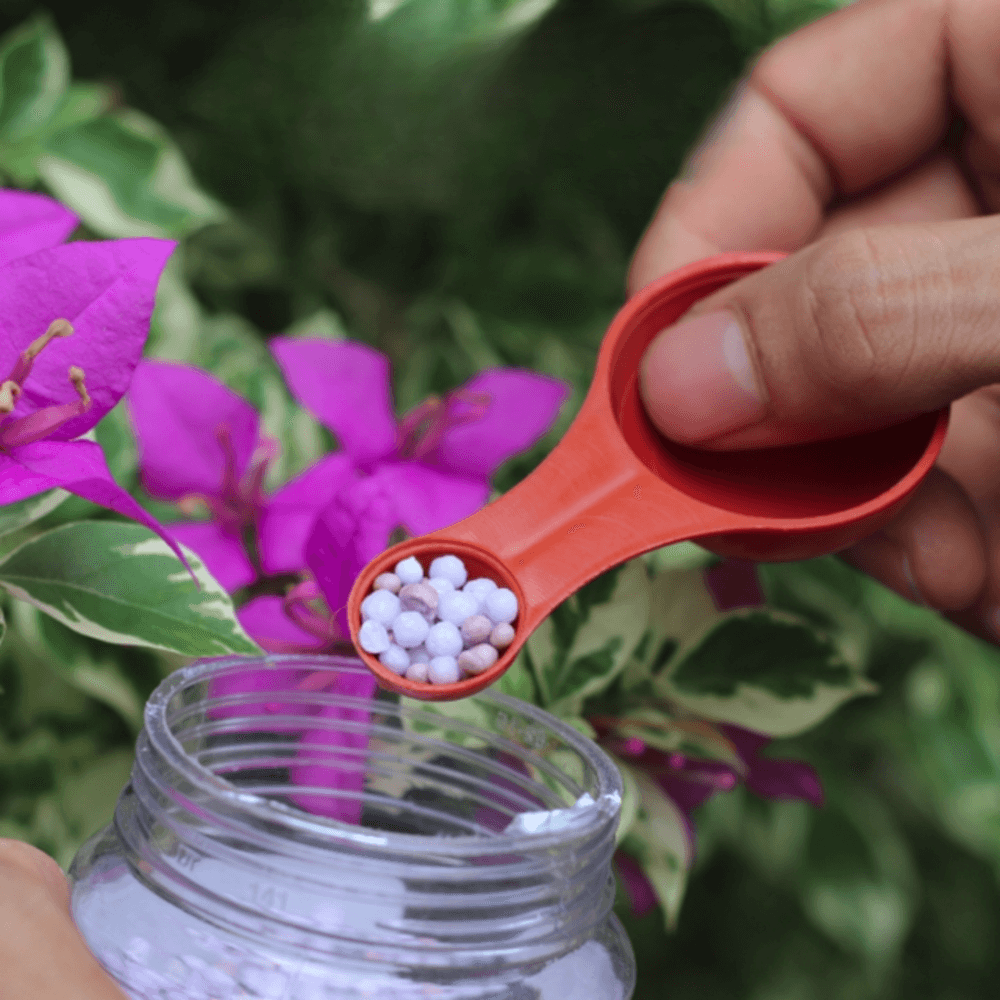Muỗng Đong Phân Thuốc có chia vạch 1-5-10-15gr 2