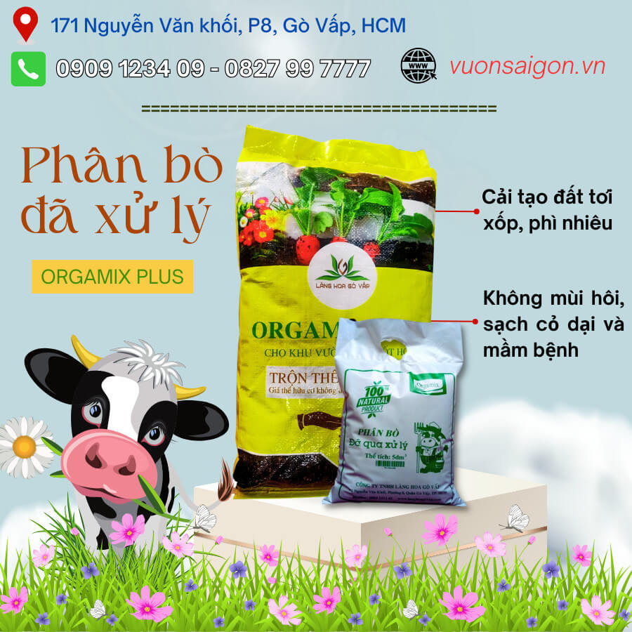 Phân bò Orgamix đã xử lý, ủ hoai mục 3