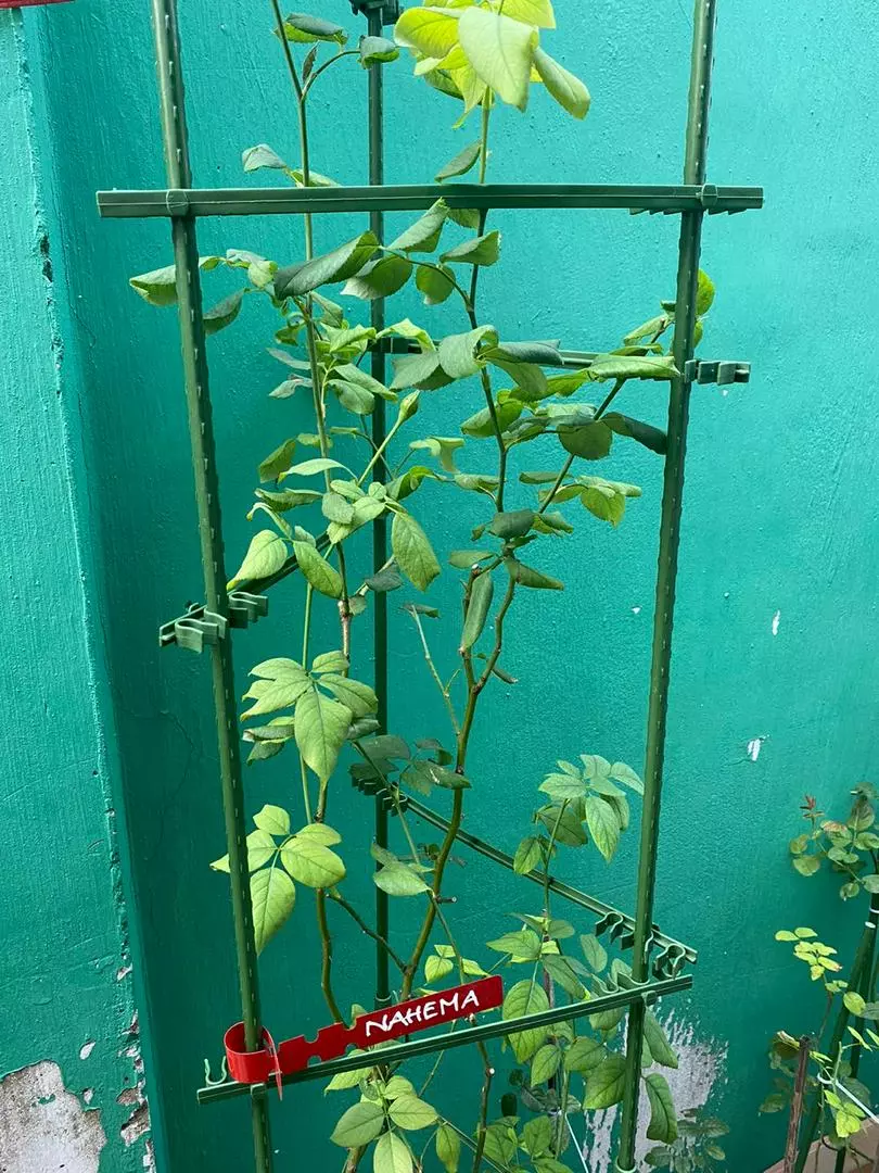Thanh liên kết ống thép bọc nhựa Daim 3