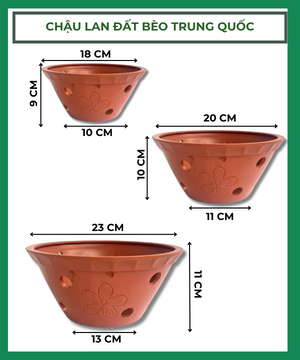 Chậu Lan đất bèo Trung Quốc