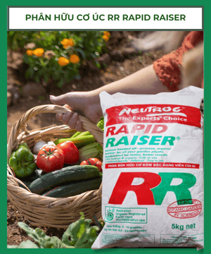 Phân hữu cơ RR Rapid Raiser nhập khẩu từ Úc