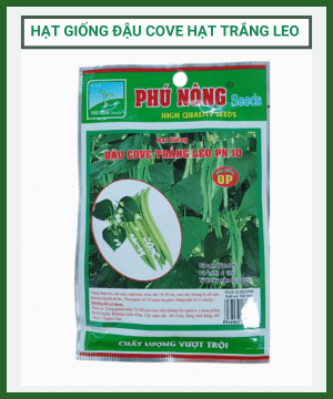 Hạt giống đậu cove hạt trắng Phú Nông (dây leo)
