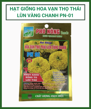 HẠT GIỐNG HOA VẠN THỌ THÁI LÙN VÀNG CHANH PN-01