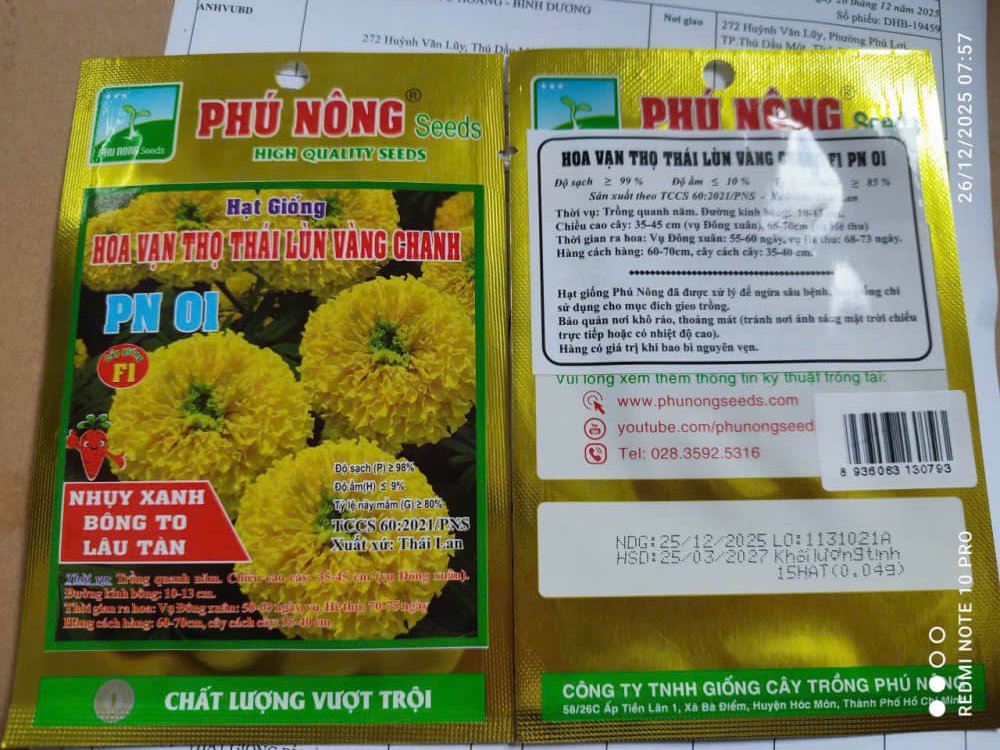 HẠT GIỐNG HOA VẠN THỌ THÁI LÙN VÀNG CHANH PN-01 2