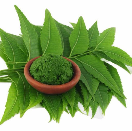Phân Hữu Cơ Neem Cake 2