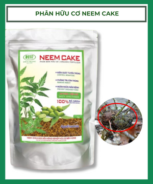 Phân Hữu Cơ Neem Cake