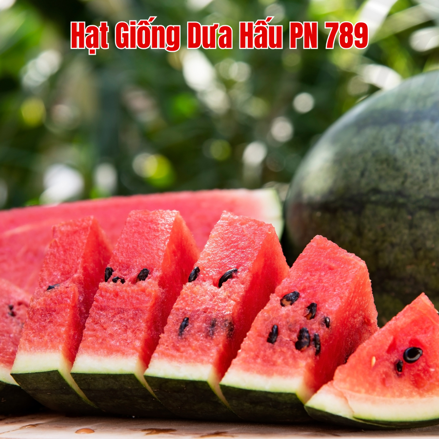 Hạt giống dưa hấu PN-789 F1 3