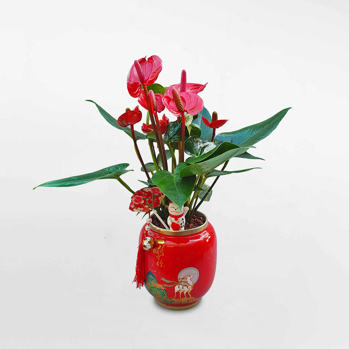 Cây hồng môn để bàn tiểu cảnh “mèo chiêu tài” ANTH005