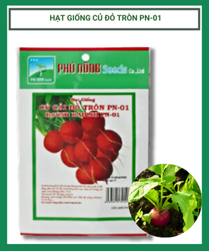 Hạt Giống Củ Cải Đỏ Tròn Phú Nông