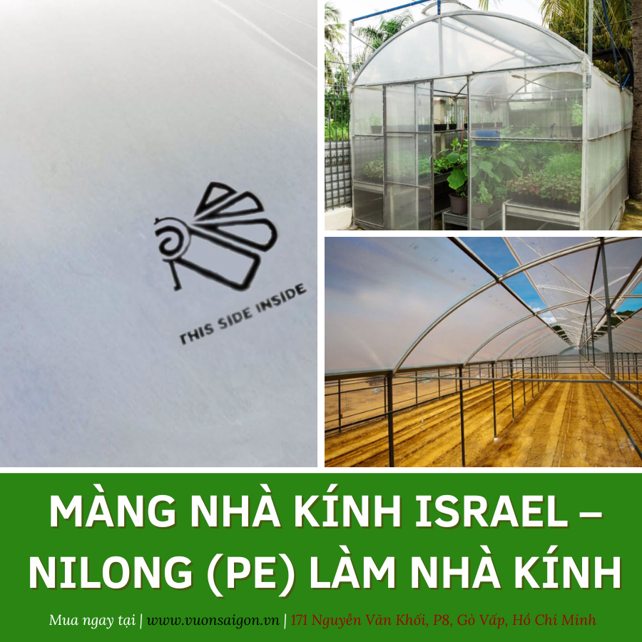 Màng nhà kính Politiv Israel – Nilong (PE) làm nhà kính 2
