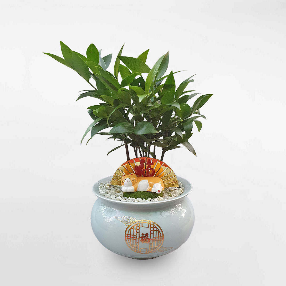 Cây kim giao để bàn tiểu cảnh ‘mèo chiêu tài’ KIGI001