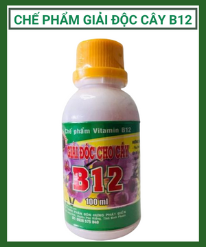 Chế Phẩm Giải Độc Cho Cây B12