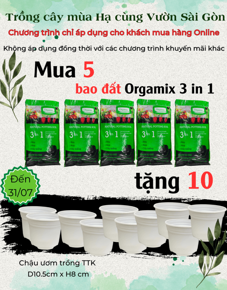 Đất trồng rau Orgamix 3 IN 1 – đất sạch chất lượng cao trồng rau 2