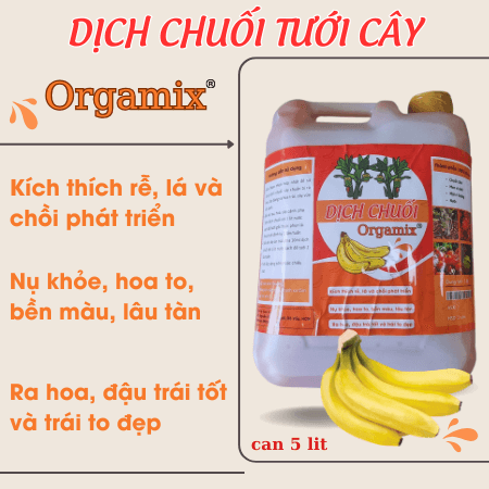 Dịch Chuối Orgamix – dịch chuối tưới cây 100% hữu cơ 3