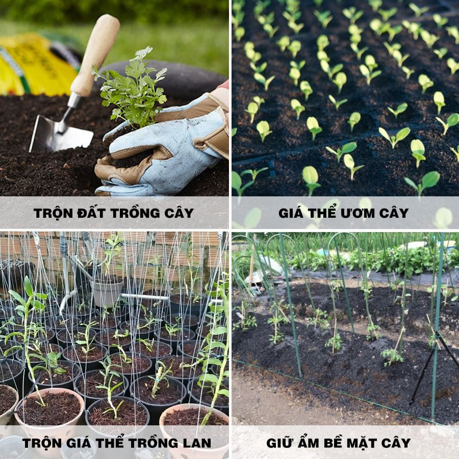 Trấu hun nguyên hạt Sfarm 3