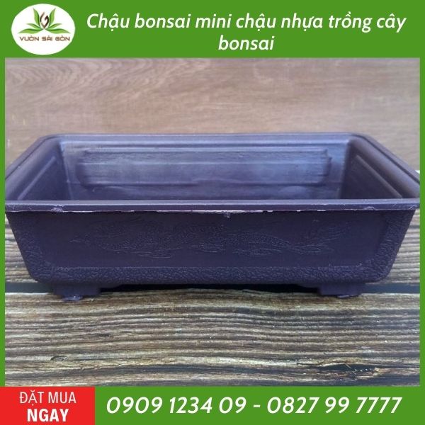Chậu bonsai mini chậu nhựa trồng cây bonsai 3