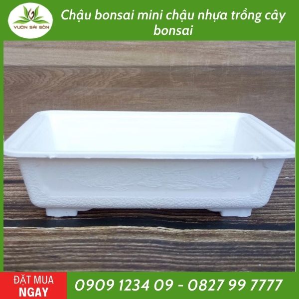 Chậu bonsai mini chậu nhựa trồng cây bonsai 2