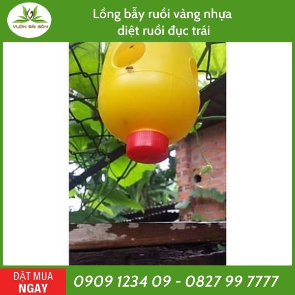 Lồng bẫy ruồi vàng nhựa diệt ruồi đục trái 3