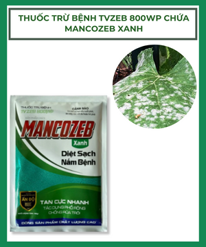 Thuốc trừ bệnh TVZEB 800WP chứa MANCOZEB Xanh