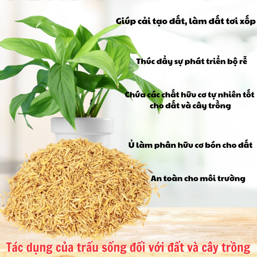 Trấu sống 100% hữu cơ – Trấu sống Orgamix Plus 2