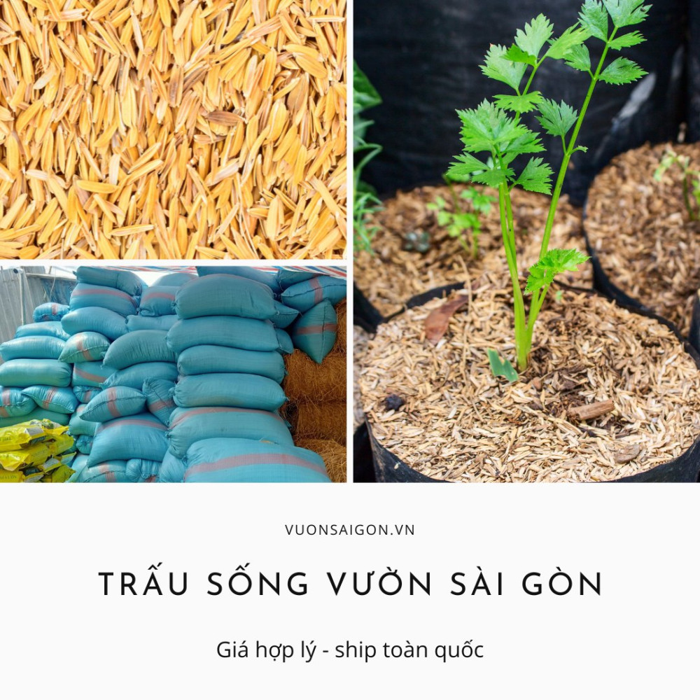 Trấu sống 100% hữu cơ – Trấu sống Orgamix Plus 3
