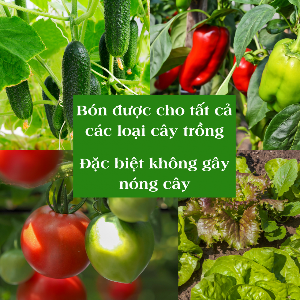 Phân trùn quế Orgamix Plus100% hữu cơ 3
