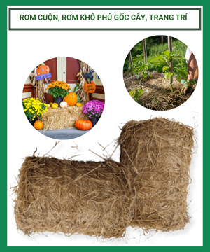 Rơm cuộn, rơm khô cuộn phủ gốc cây, trang trí