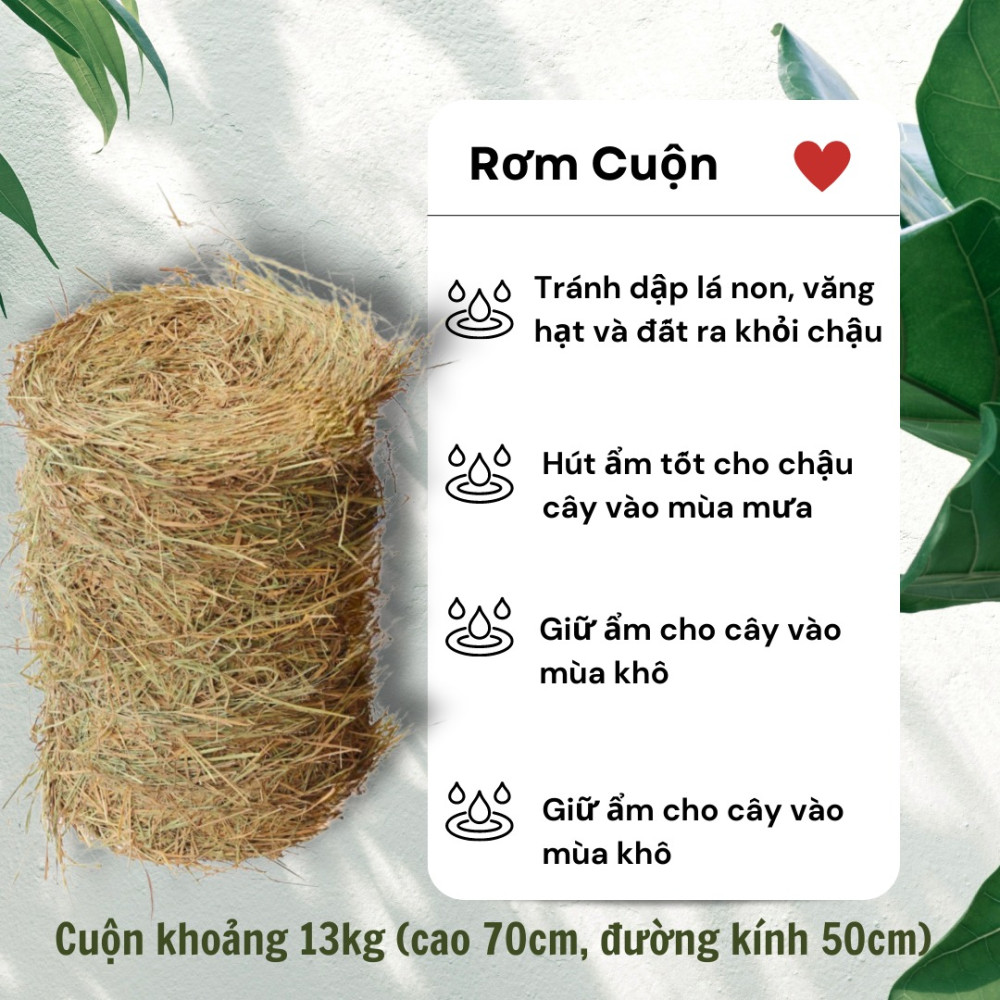 Rơm cuộn, rơm khô cuộn phủ gốc cây, trang trí 2